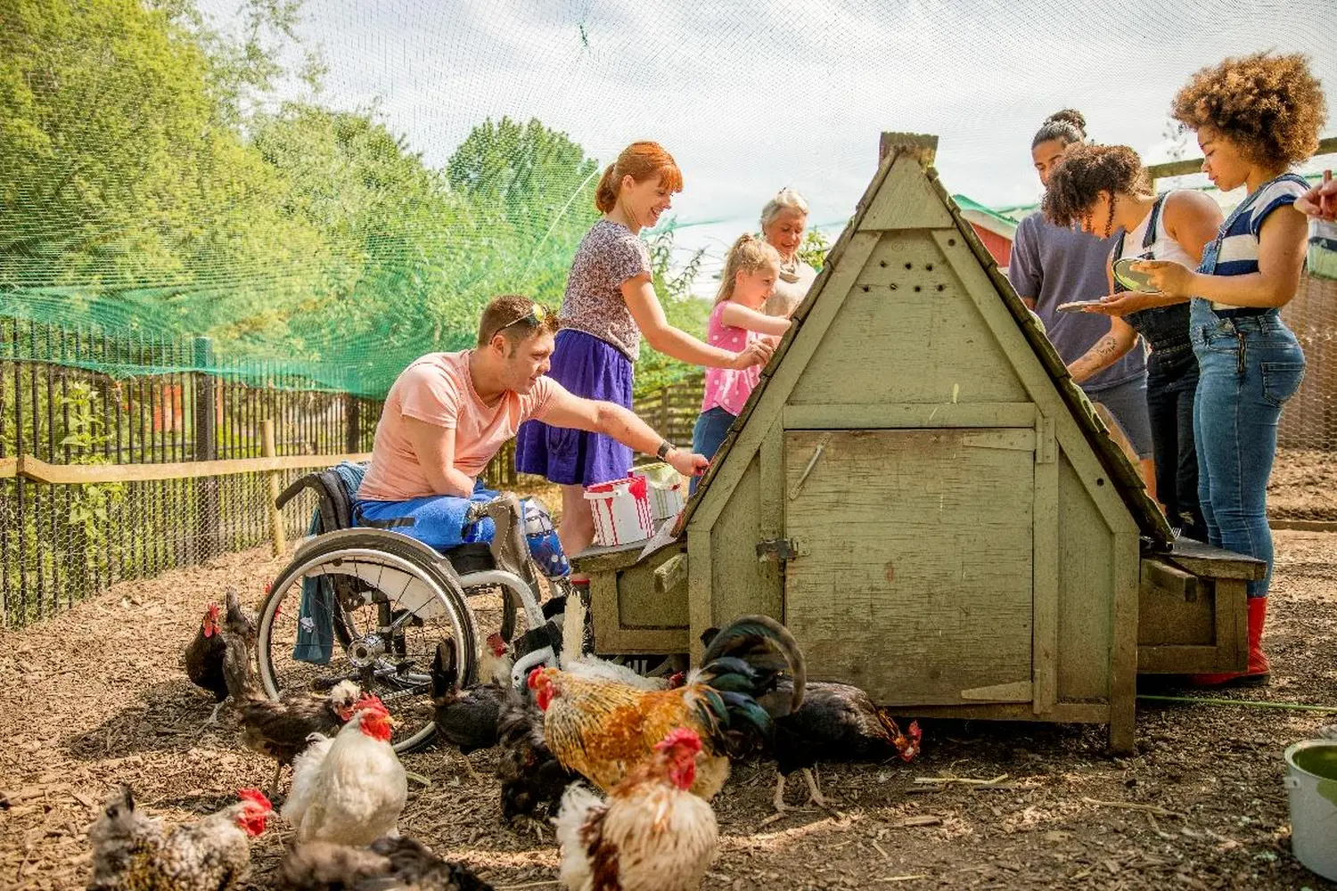 Odenwald - Stiftung Naturschutz - barrierefrei - Einbeiniger Vogel Bilder, Bilder